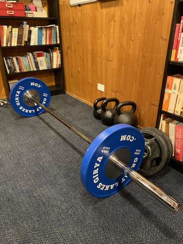 Customer photo review of Great Lakes Girya Colored Bumper Plates (PAIRS)
