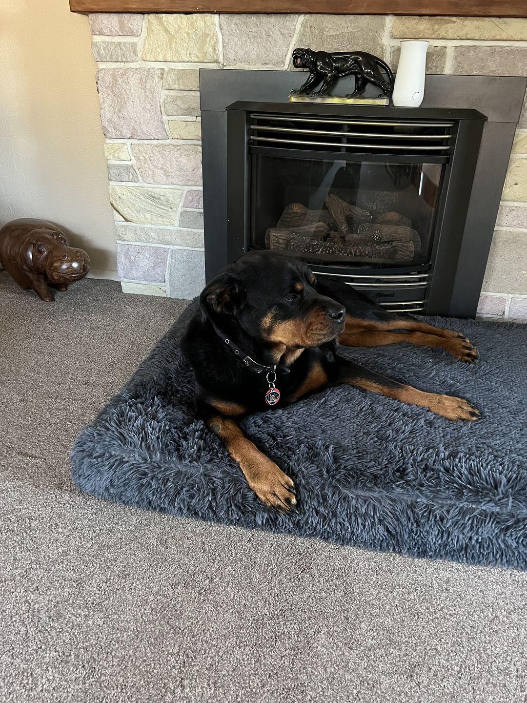 Customer photo review of Brooklyn® Memory Foam Bed