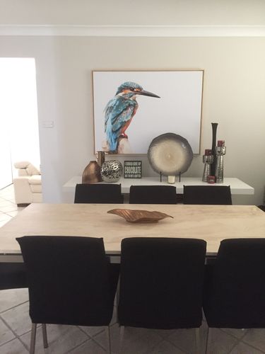Customer photo review of Kingfisher- Turquoise Australian Bird Canvas And Art Print