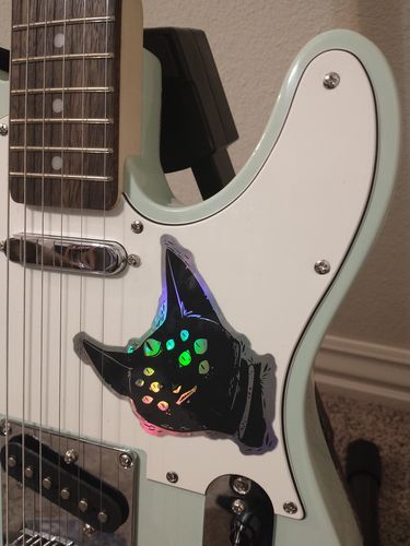 Customer photo review of Spider Cat, Holographic Sticker