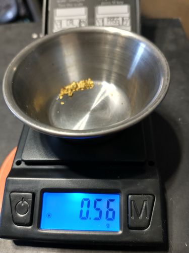 Customer photo review of *BOGO* Gold Diggers Delight '10 TROY OUNCE GOLD HUNT' - Gold Paydirt Panning Concentrates