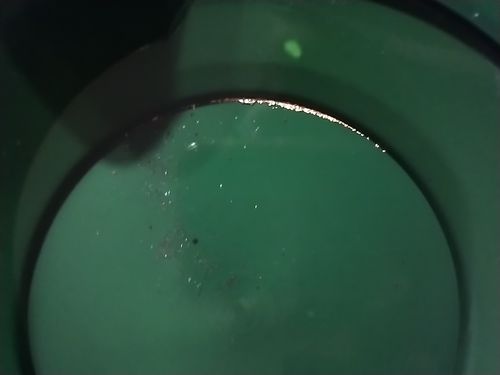 Customer photo review of Dutchman's 'Lost Treasure' Gold Paydirt - Gold Prospecting Concentrate