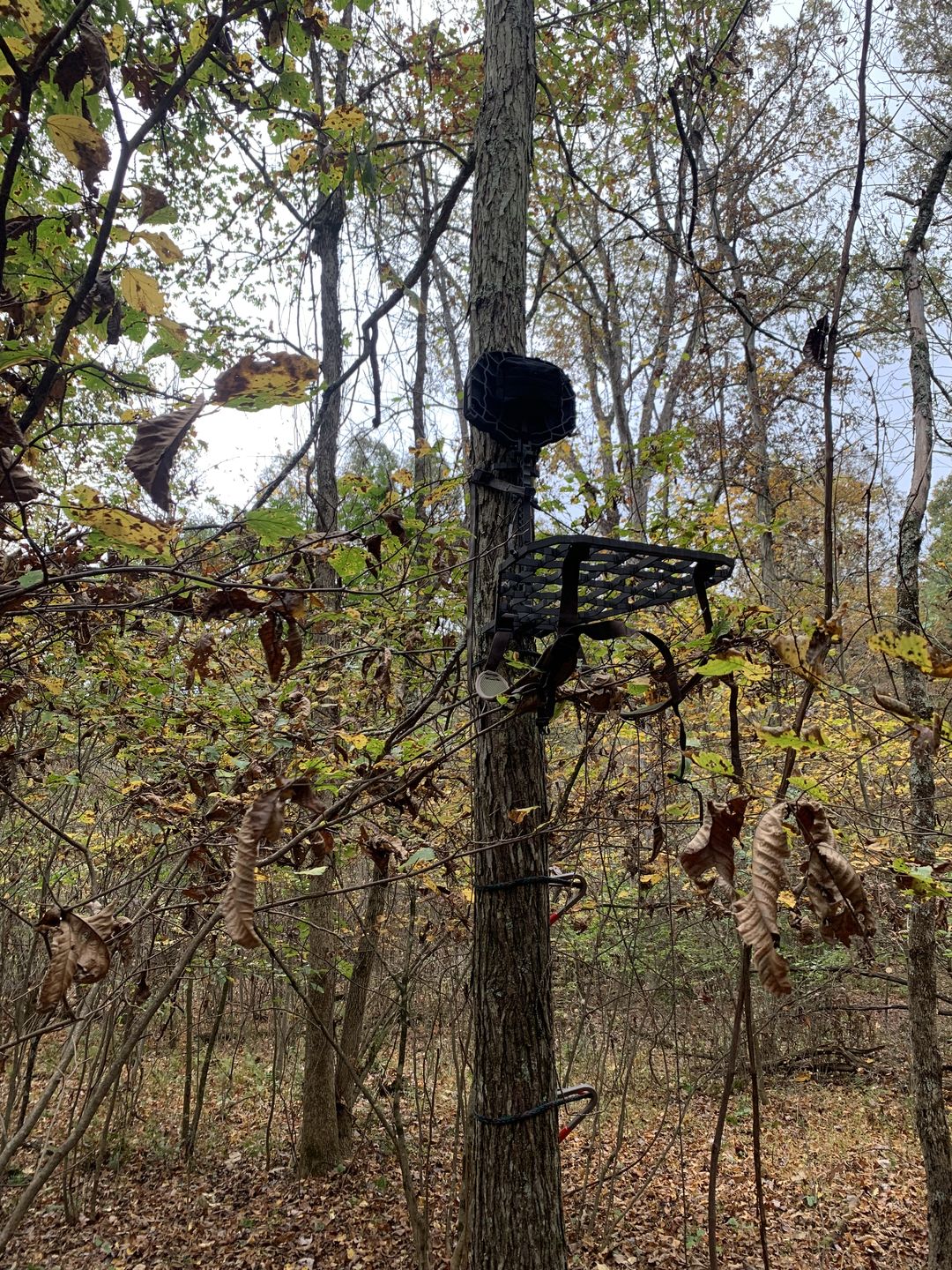 Customer photo review of D'Acquisto Series Hang-On 1.0 / Mobile Hunter ™
