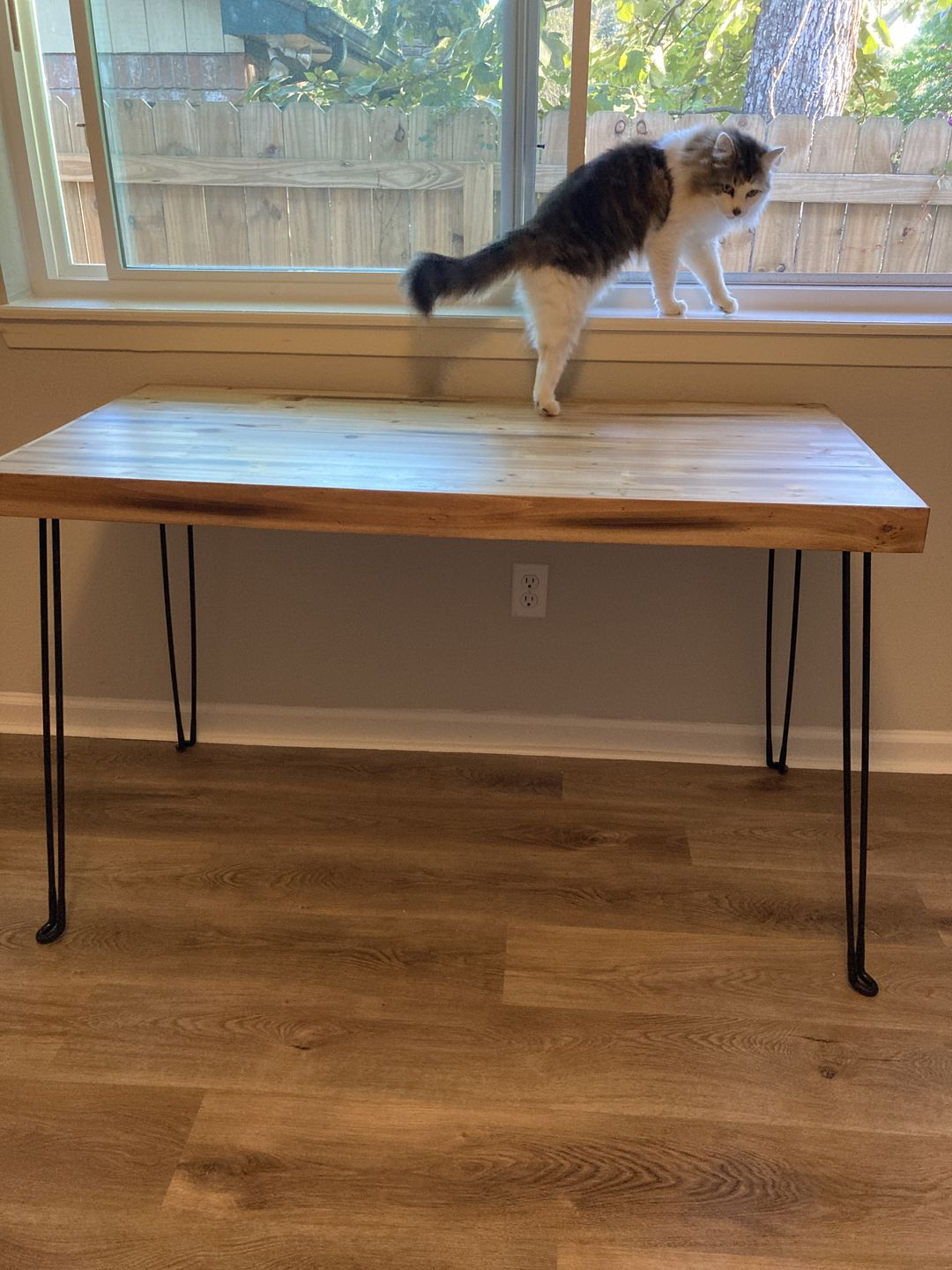 Customer photo review of The Portland Folding Table