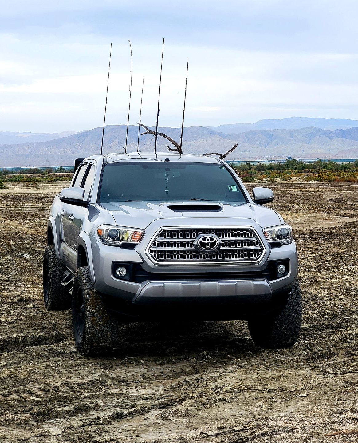Customer photo review of Toyota / Lexus V6 High Performance Coil Packs