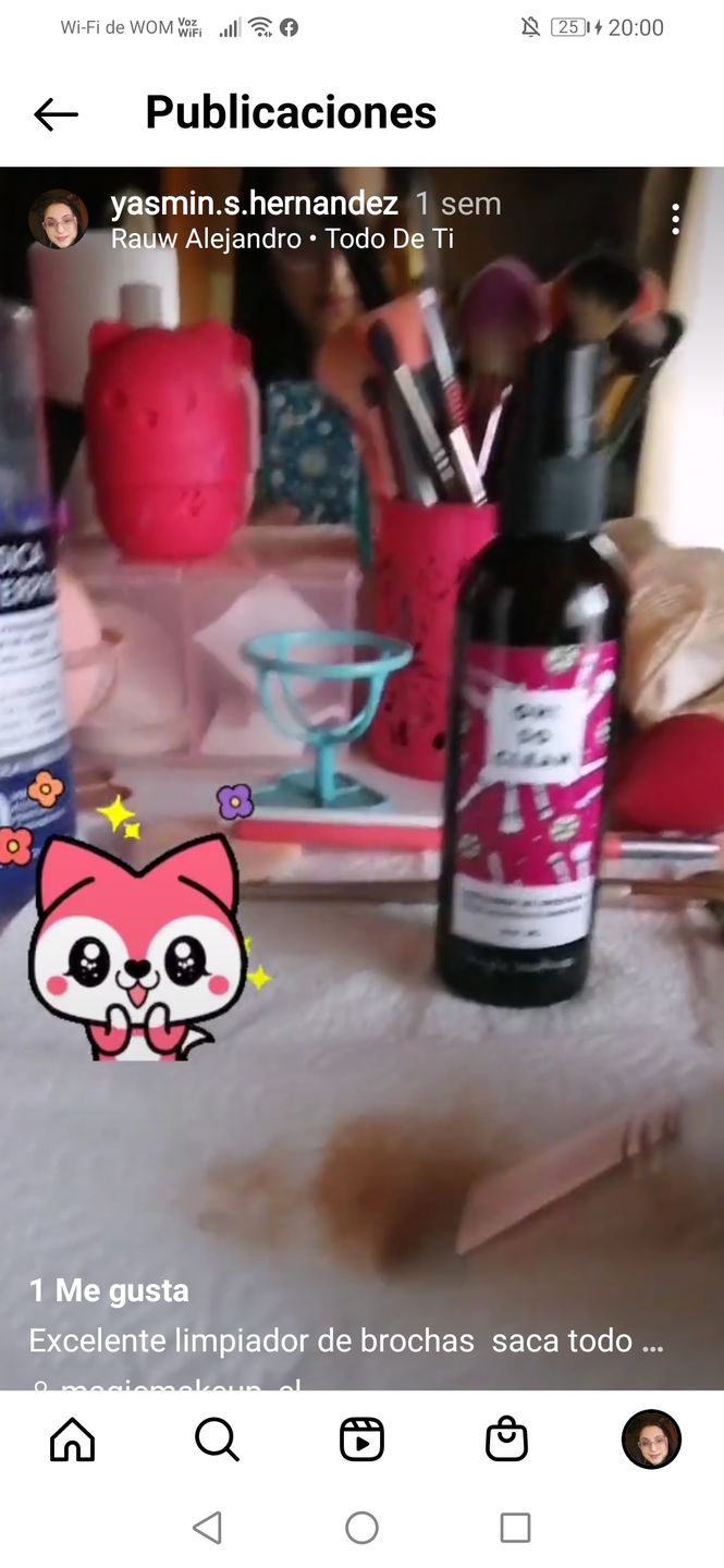 Customer photo review of ✭OH! SO CLEAN✭  limpiador instantáneo de brochas 100ml