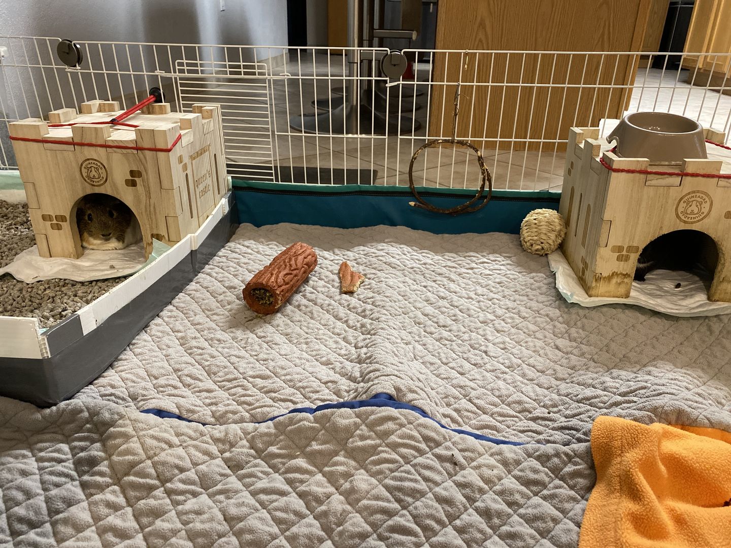 Customer photo review of GuineaDad Queen's Castle