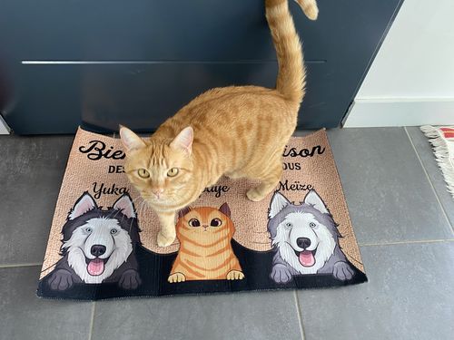 Customer photo review of Tapis Personnalisé "Bienvenue à la maison"