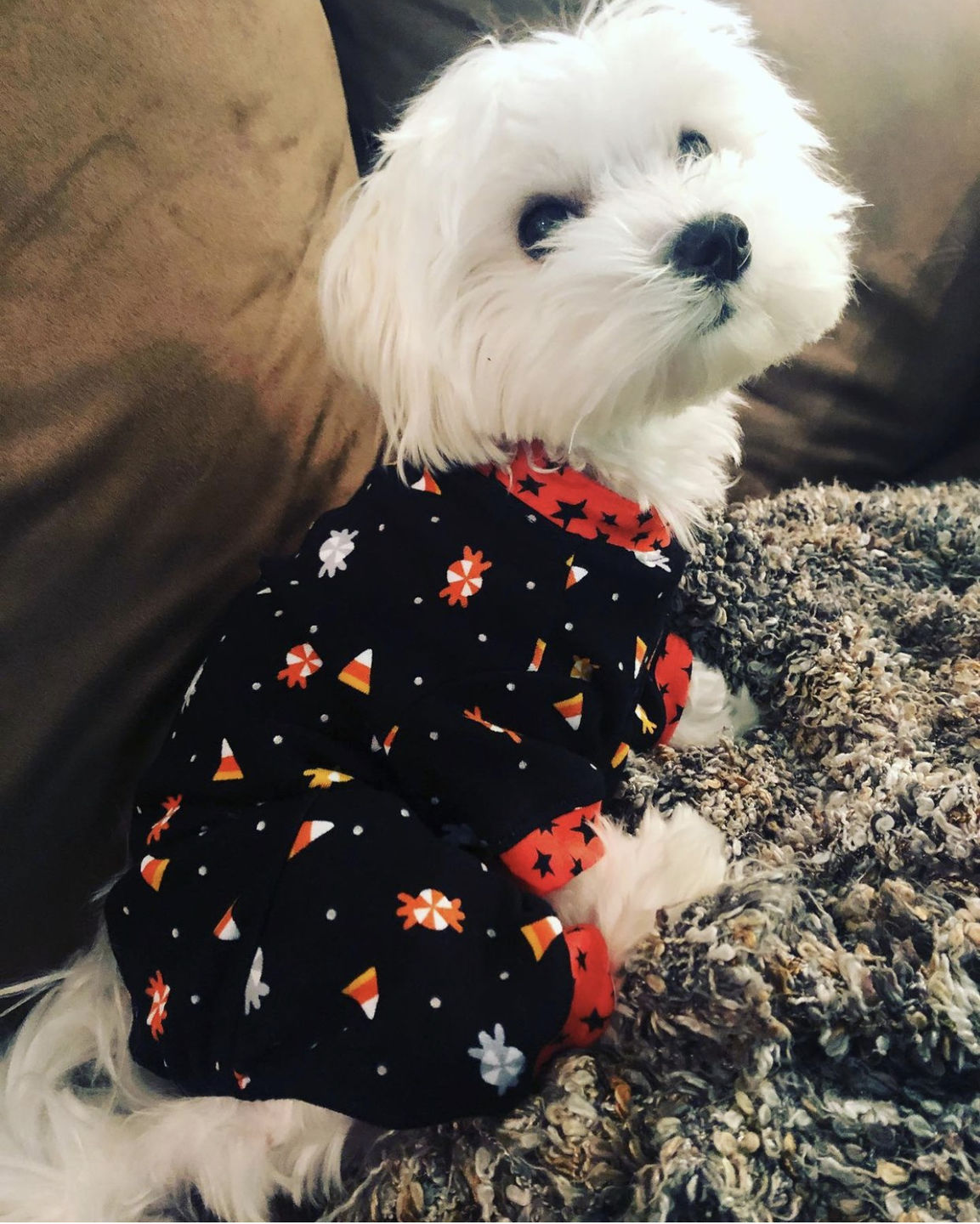 Customer photo review of Glow in Dark Cotton Pajamas - Candy Cone