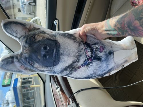Customer photo review of Create A Custom Dog Pillow