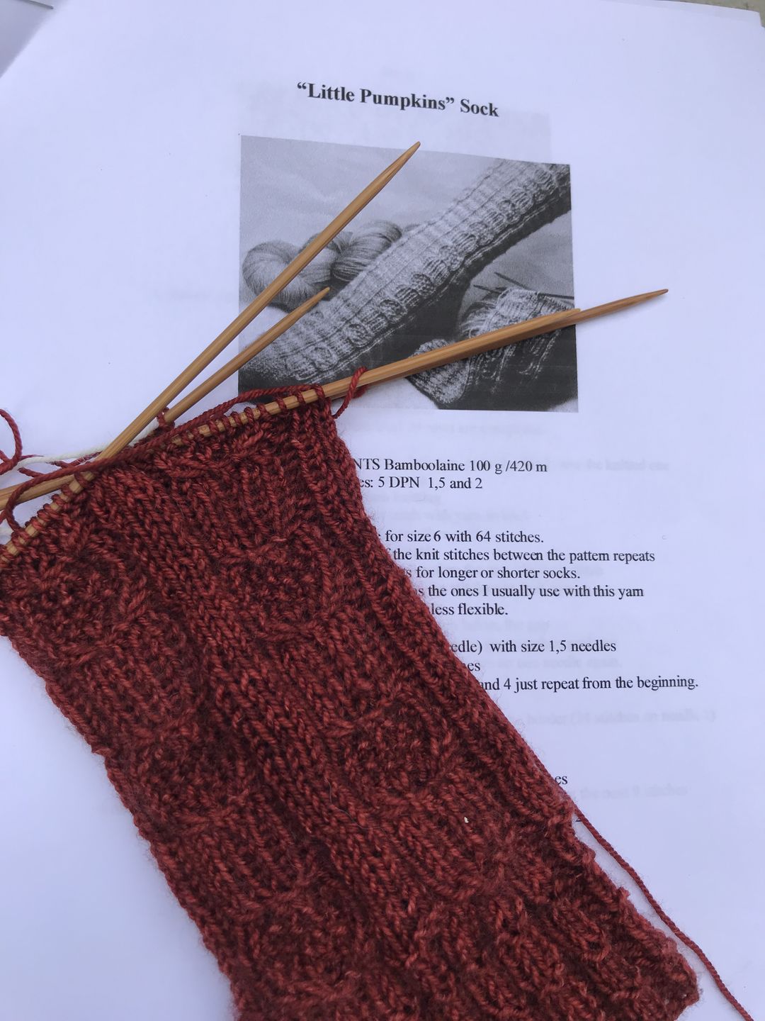 Customer photo review of Malabrigo Sock Merino Knitting Yarn