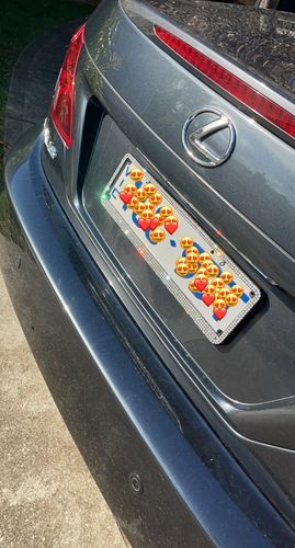 Customer photo review of Bling Number Plate Frames