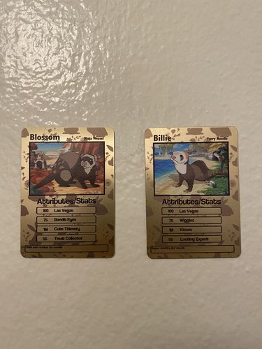 Customer photo review of Pokepet