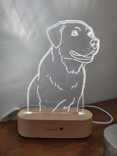 Customer photo review of מנורת ציור אישית