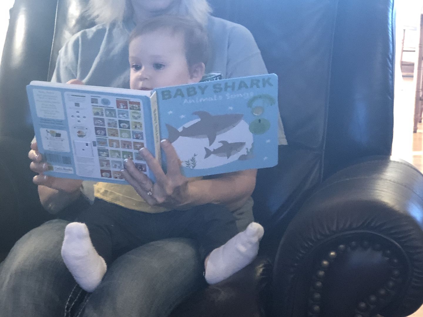 Customer photo review of Baby Shark Nursery Rhymes