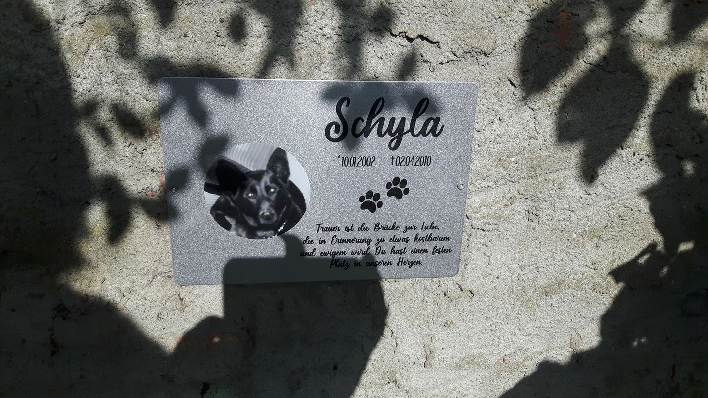 Customer photo review of Gedenktafel Hund "Lieblingshund"