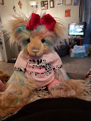 Customer photo review of Charlie Bear Aurora