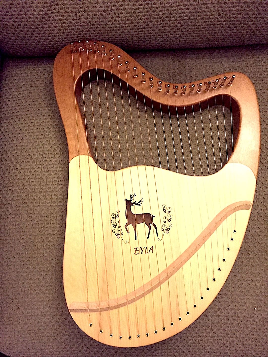 Customer photo review of Lyre Harp 21 String BYLA Deer Mahogany