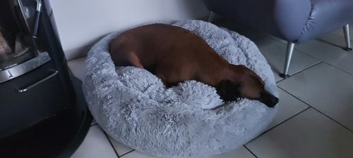 Customer photo review of Hundebett Kuschelwolke  mit kuscheligem Plüsch herausnehmbares Kissen einfarbig