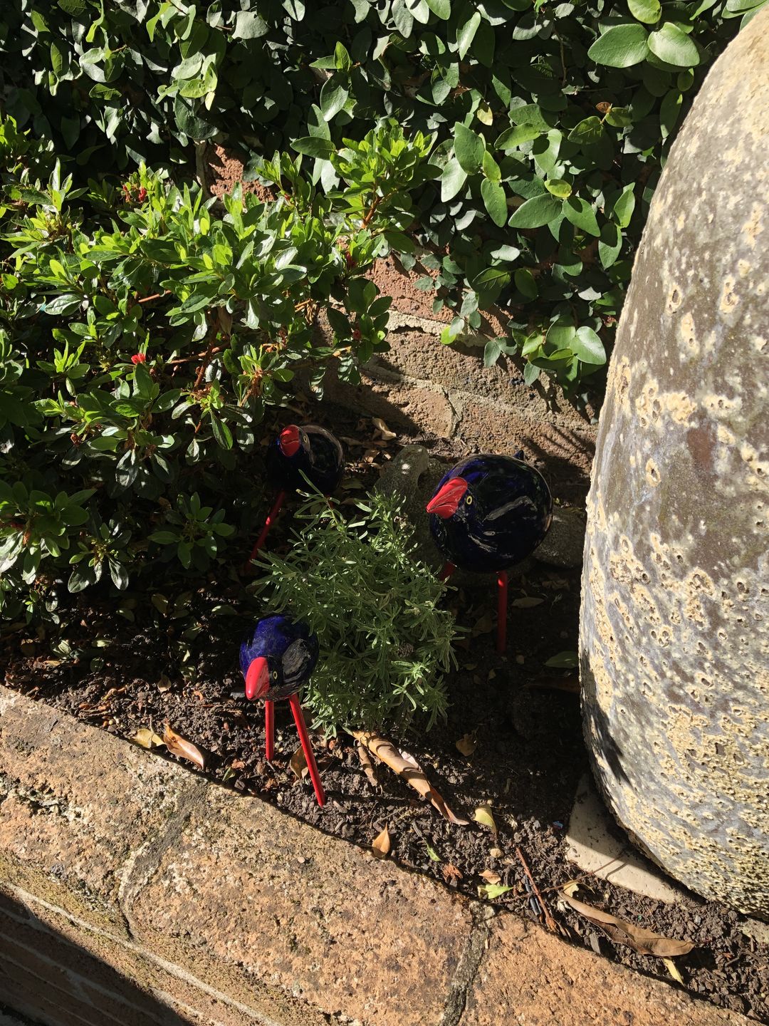 Customer photo review of New Zealand Ceramic Garden Pukekos