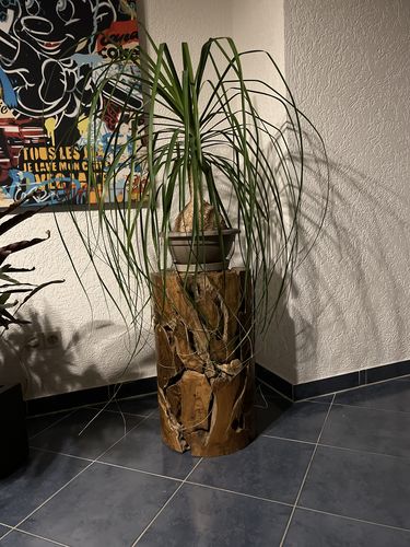 Customer photo review of Teak Holz Säule XILON rund