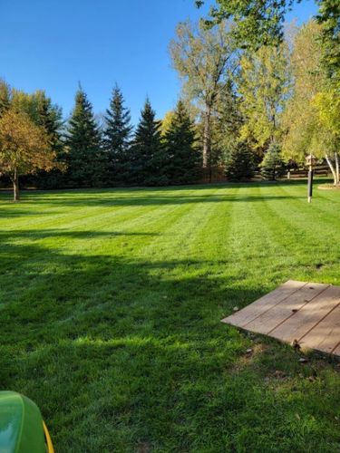 Customer photo review of Protene Performance Fall Fertilizer