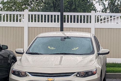 Customer photo review of Yellow Eyes Of Owl Car Sunshade