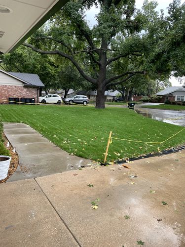 Customer photo review of GCI Turf Cool Blue Grass Seed