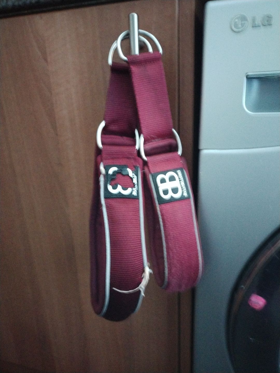 Customer photo review of 5cm RR Collar | Soft Padded & Reflective | Series 2 - Burgundy