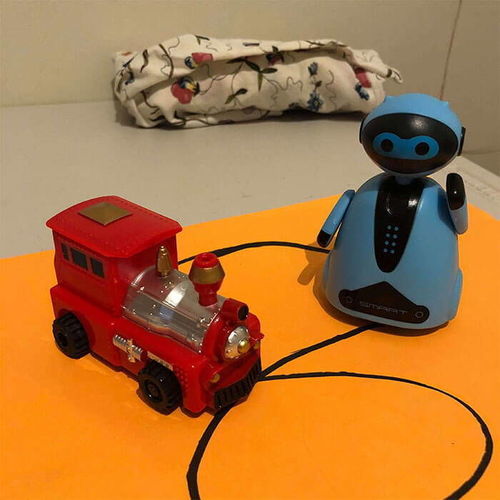 Customer photo review of MaxiRacer™ - Le jouet créatif pour les enfants