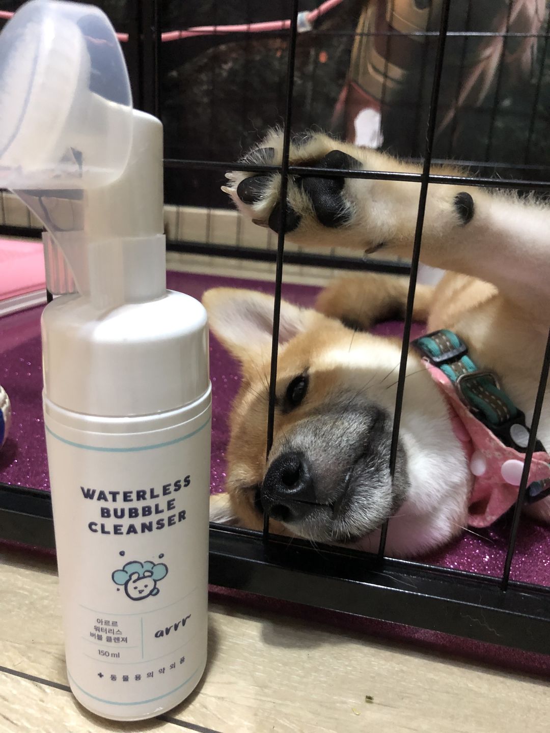 Customer photo review of arrr Waterless Bubble Cleanser