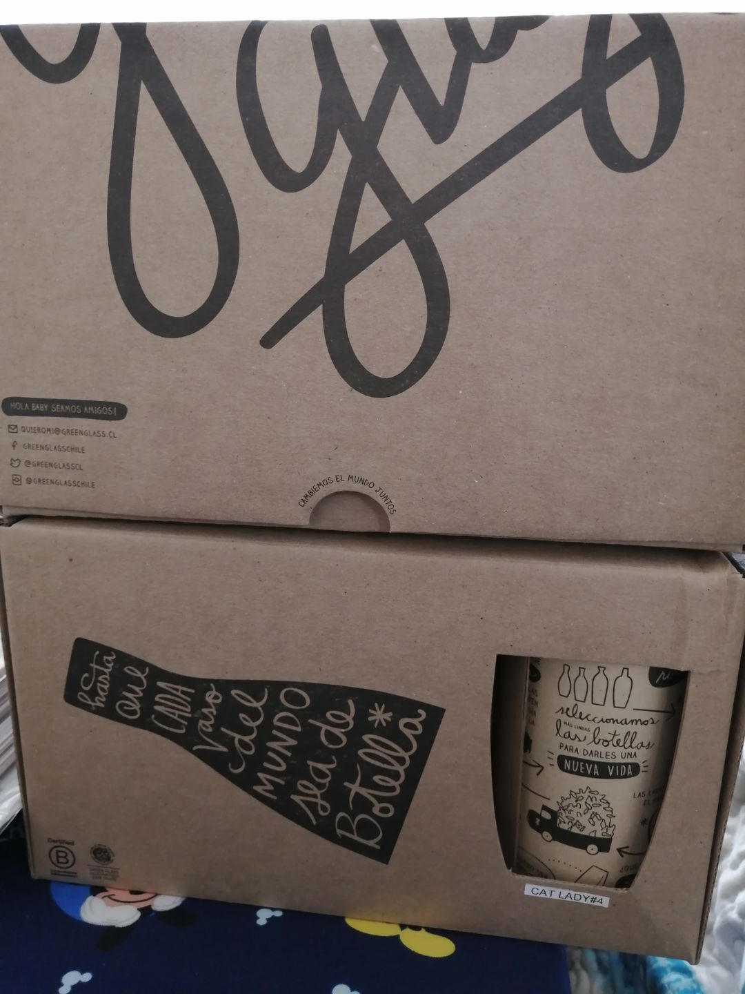 Customer photo review of Cat Lover Juego de 6 Vasos Gatunos 500ML