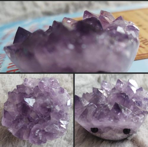 Customer photo review of Amethyst Hedgehog