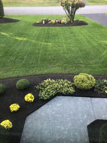 Customer photo review of Protene Performance Starter Fertilizer