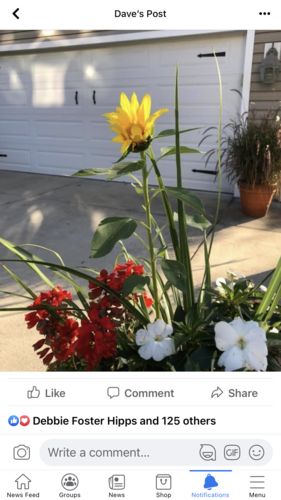 Customer photo review of Decorative Garage Door Hinge and Handle Magnet Accents (6-PC Set)