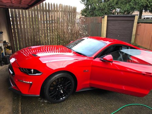 Customer photo review of AM Hybrid Shampoo - Hybrid Ceramic Maintenance Shampoo