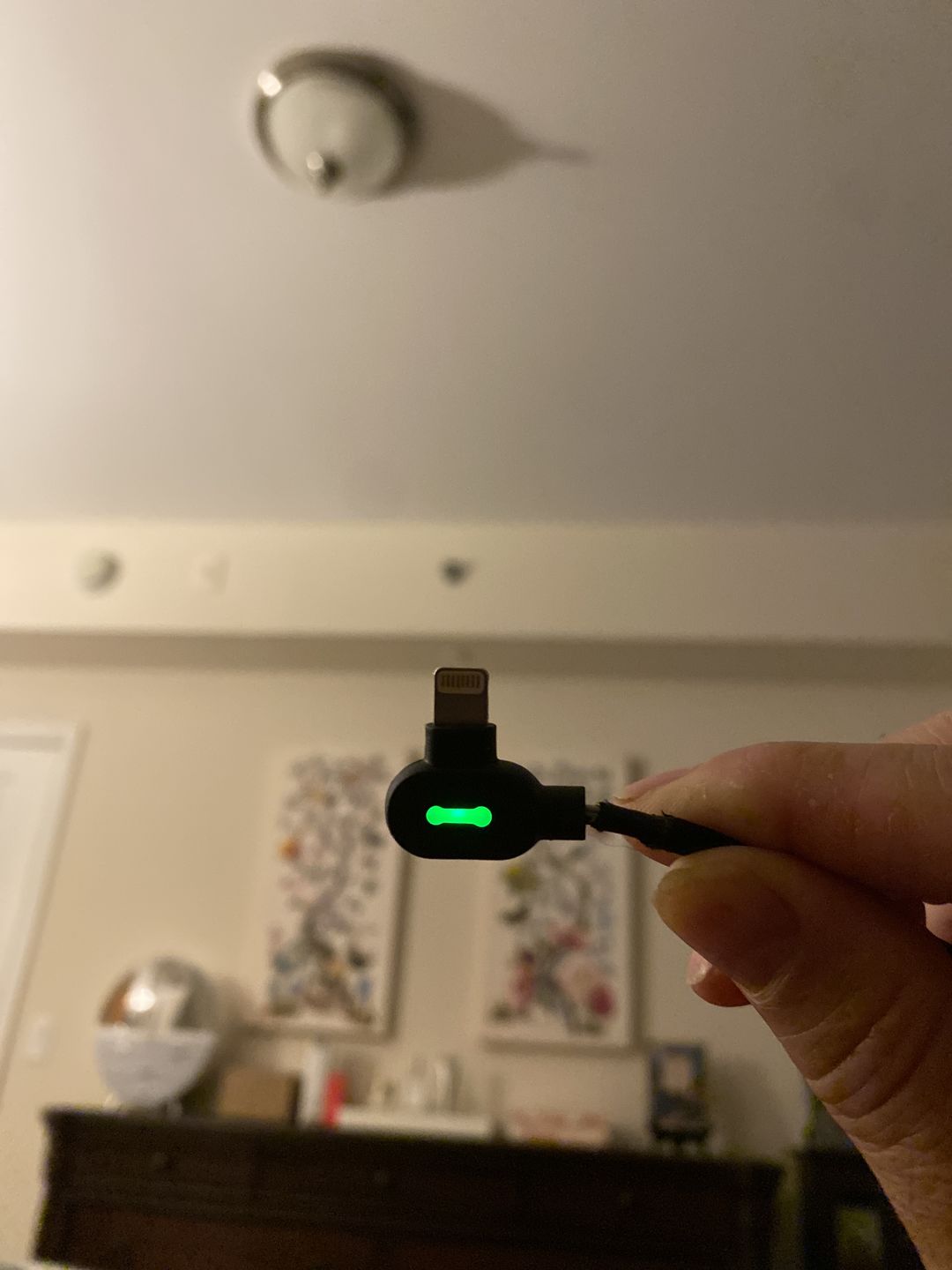 Customer photo review of Titan Smart Cable™ (3-Pack)