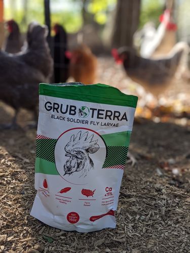 Customer photo review of GrubTerra Dried Larvae
