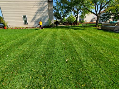 Customer photo review of Protene Performance Fall Fertilizer