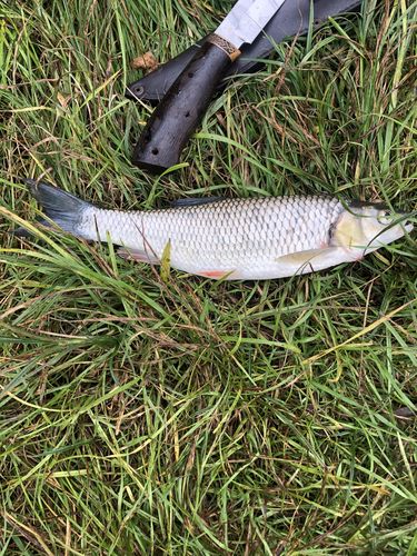 Customer photo review of 8+2g Smart Fishing Float