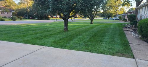 Customer photo review of Protene Performance Starter Fertilizer