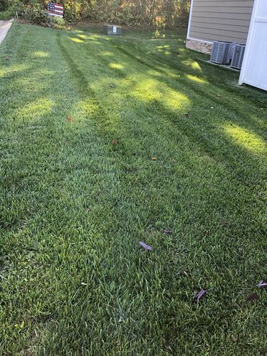 Customer photo review of Protene Performance Starter Fertilizer