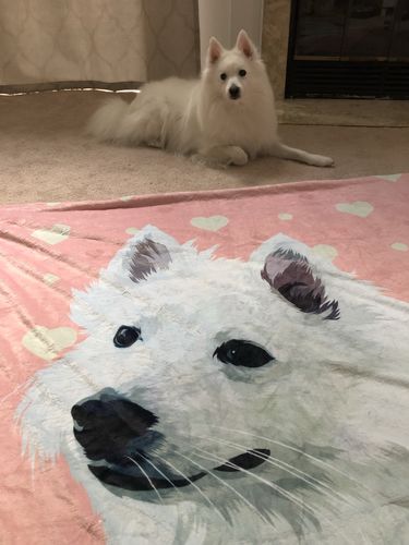 Customer photo review of Custom Pet Fleece Blanket