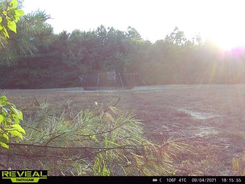 Customer photo review of Pig Brig Trap System