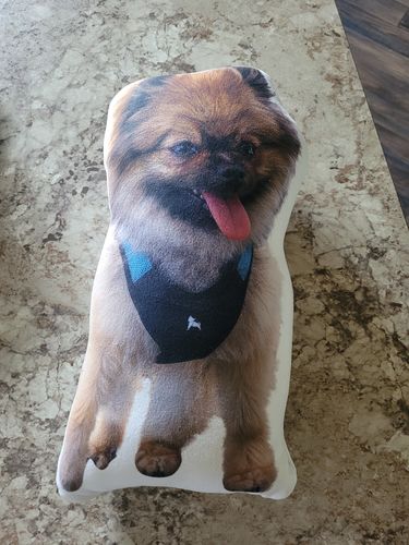 Customer photo review of Create A Custom Dog Pillow