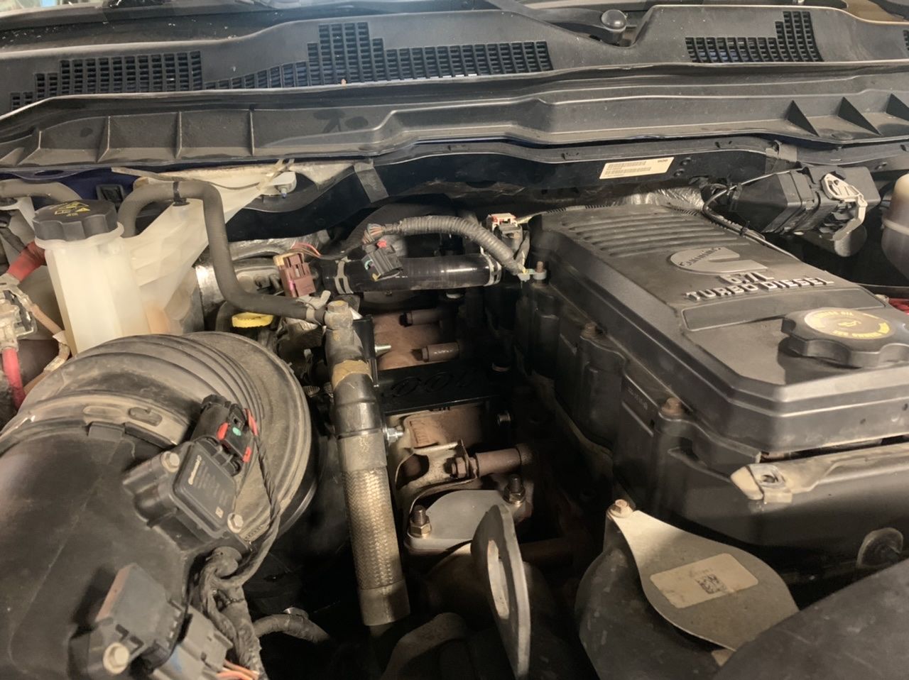 Customer photo review of 2009-2024 Cummins Dirty EGR/Cooler Delete (I67-EGR-A006)
