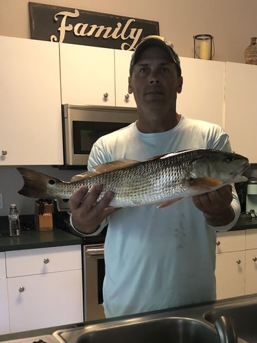 Customer photo review of Headbanger Spitfire 4.5"