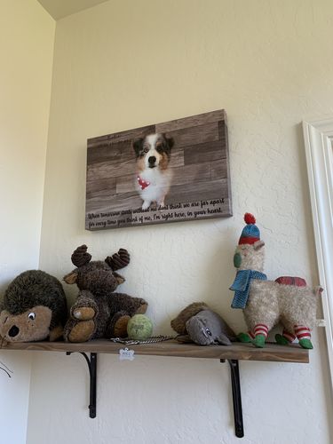 Customer photo review of Custom Dog Memorial - Gift For Loss of Dog - Dog Loss Photo Gift - Dog Condolence Gift - Personalized Dog Memorial Gift - Dog Passing Gift