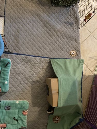 Customer photo review of GuineaDad Liner - Smaller Sizes without Pockets