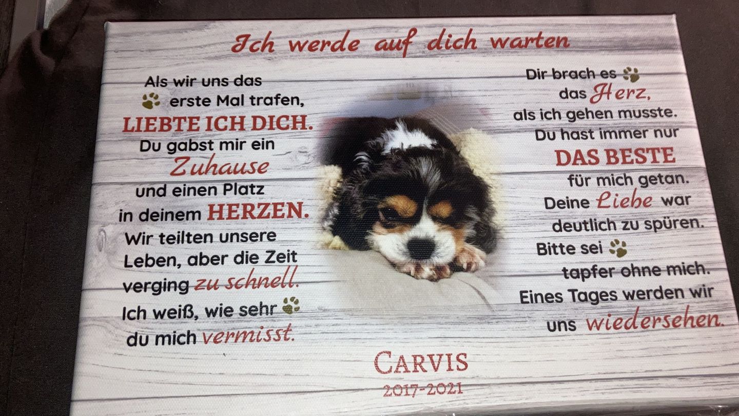 Customer photo review of Gedenktafel Hund "Lieblingshund"